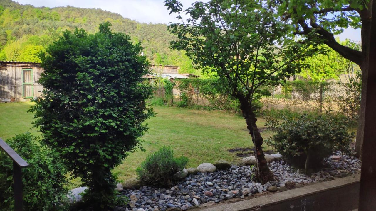 Vila Grauges Ripoll Exteriér fotografie